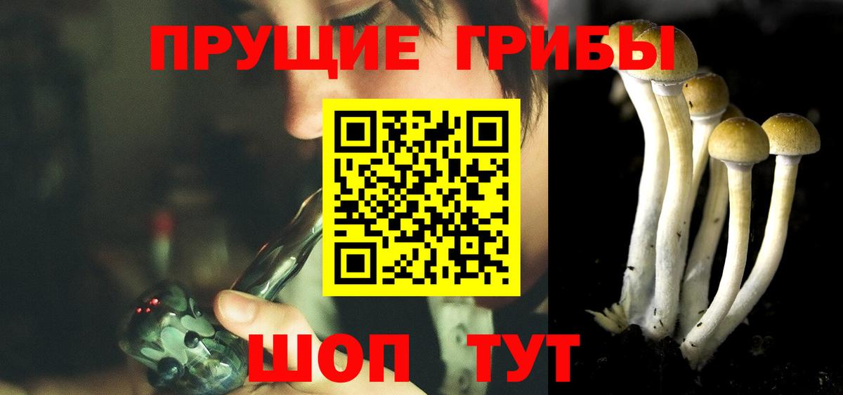 Псилоцибиновые грибы GOLDEN TEACHER  Вход с VPN  Борзя  Псилоцибиновые грибы Psilocybe 